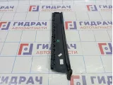 Накладка двери задней левой Volkswagen Tiguan (NF) 5N0839901A03C