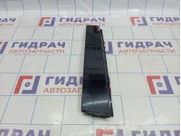 Накладка двери задней правой Volkswagen Tiguan (NF) 5N0839902A03C