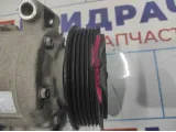 Компрессор кондиционера Volkswagen Tiguan (NF) 1K0820859T
