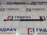 Амортизатор двери багажника левый Volkswagen Tiguan (NF) 5N0827550D