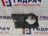 Рамка противотуманной фары Volkswagen Tiguan (NF) 5N0853666