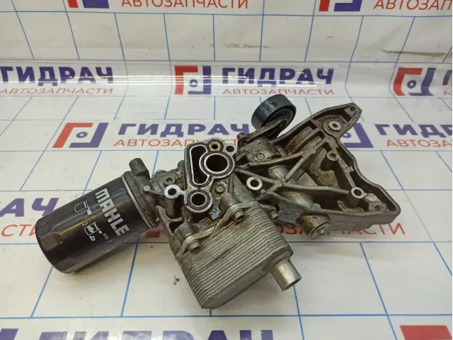 Кронштейн генератора Volkswagen Tiguan (NF) 06J903143AH