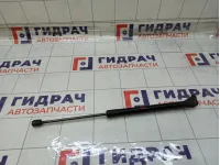 Амортизатор крышки (двери) багажника левый Volkswagen Tiguan 5N0827550D01S