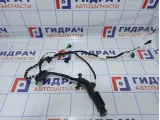 Проводка двери задней правой Volkswagen Tiguan (Mk2) 5NA971694BJ.