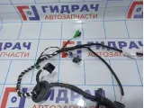 Проводка двери задней правой Volkswagen Tiguan (Mk2) 5NA971694BJ.