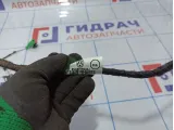 Проводка двери задней правой Volkswagen Tiguan (Mk2) 5NA971694BJ.