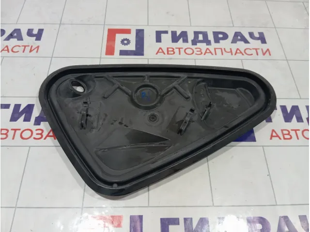 Заглушка двери задней левой Volkswagen Tiguan 5NA839915