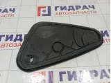 Заглушка двери задней левой Volkswagen Tiguan 5NA839915