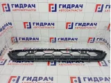Решетка в бампер центральная Volkswagen Tiguan 5NA853671D9B9