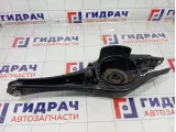 Рычаг поперечный задний правый Volkswagen Tiguan 3Q0505311G