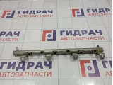 Рейка топливная (рампа) Volkswagen Touareg (GP) 022133317J