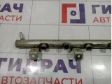 Рейка топливная (рампа) Volkswagen Touareg (GP) 022133317J