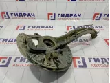 Кулак поворотный передний правый Volkswagen Touareg (GP) 7L0407258A