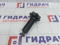 Болт крепления запасного колеса Volkswagen Touran (1T1) 1T0803899A