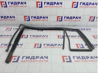 Уплотнитель стекла двери задней левой Volkswagen Touran (1T1) 1T0839431E5AP