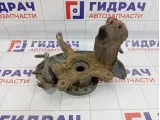 Кулак поворотный передний левый Volkswagen Touran (1T1) 1K0407255N