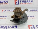 Кулак поворотный передний левый Volkswagen Touran (1T1) 1K0407255N