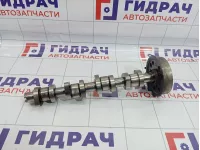 Распредвал Volkswagen Touran (1T1) 038109101R