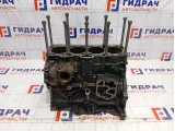 Блок двигателя Volkswagen Touran (1T1) 038103011AM