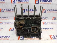 Блок двигателя Volkswagen Touran (1T1) 038103011AM