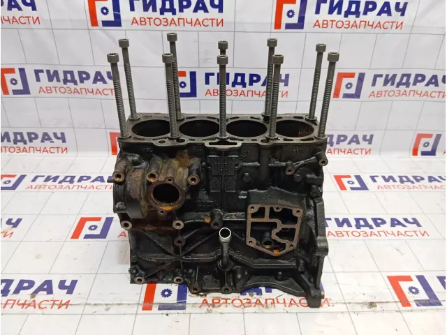 Блок двигателя Volkswagen Touran (1T1) 038103011AM