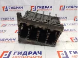 Блок двигателя Volkswagen Touran (1T1) 038103011AM