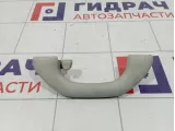 Ручка внутренняя потолочная Volkswagen Touran (1T3) 1K0857607NY20