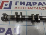 Распредвал впускной Volkswagen Touareg (GP) 077109021GK