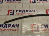 Молдинг крыши правый Vortex Estina