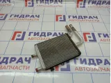 Радиатор отопителя Vortex Estina A218107130