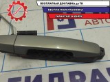 Ручка двери задняя правая Vortex Tingo T116205240.