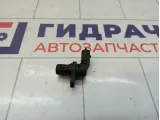 Датчик положения распредвала Vortex Tingo F01R00B003