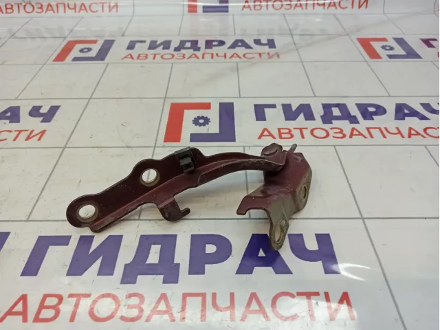 Петля капота правая Vortex Tingo T118402040