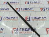 Накладка стекла переднего левого ZAZ Vida 96801085