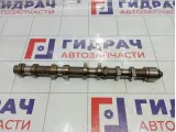 Распредвал выпускной 242002B010 Hyundai-KIA 