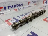 Распредвал выпускной 242002B010 Hyundai-KIA 