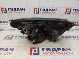 Фара левая Toyota RAV 4 8117042650