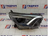 Фара правая Toyota RAV 4 8113042650