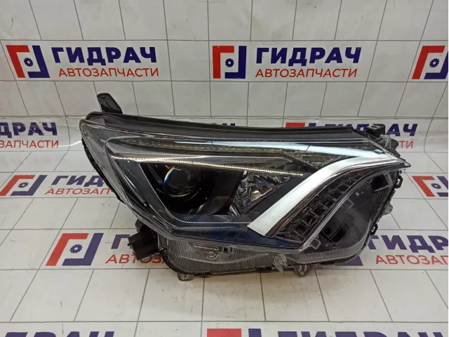 Фара правая Toyota RAV 4 8113042650