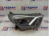 Фара правая Toyota RAV 4 8113042650