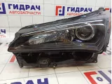 Фара левая Lexus NX 200/300H 8118578050