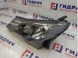 Фара левая Toyota RAV 4 8117042542