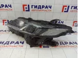 Фара левая Toyota Camry V70 8115033D31