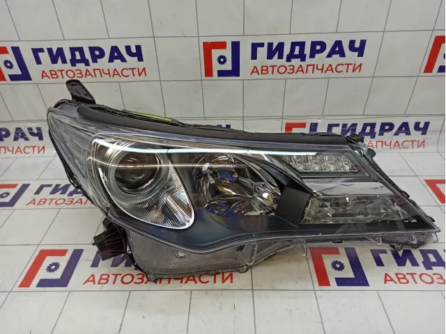 Фара правая Toyota RAV 4 8113042540