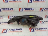 Фара правая Toyota RAV 4 8113042540