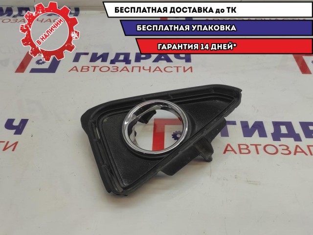 Решетка в бампер правая Toyota RAV4 (XA40) 52030-42060.