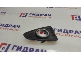 Решетка в бампер правая Toyota RAV4 (XA40) 52030-42060.