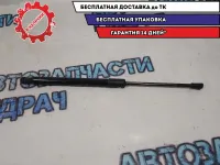 Амортизатор двери багажника Nissan Terrano 3 904520004R.