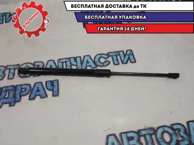 Амортизатор двери багажника Nissan Terrano 3 904520004R.